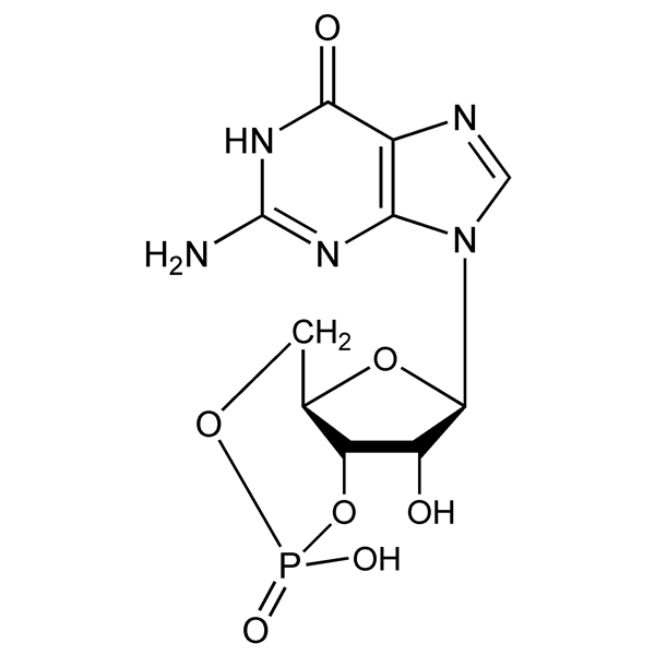 Graphical representation of Cyclic GMP