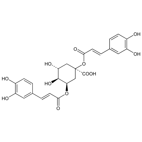 cynarine-monograph-image