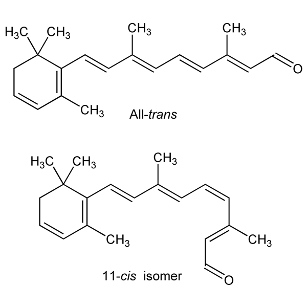 3-dehydroretinal-monograph-image