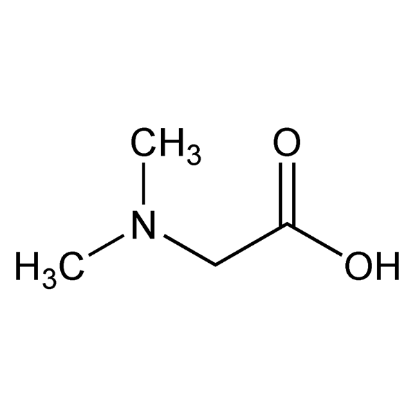 n,n-dimethylglycine-monograph-image