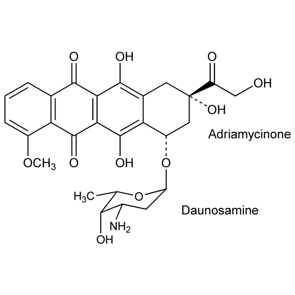 Graphical representation of Doxorubicin