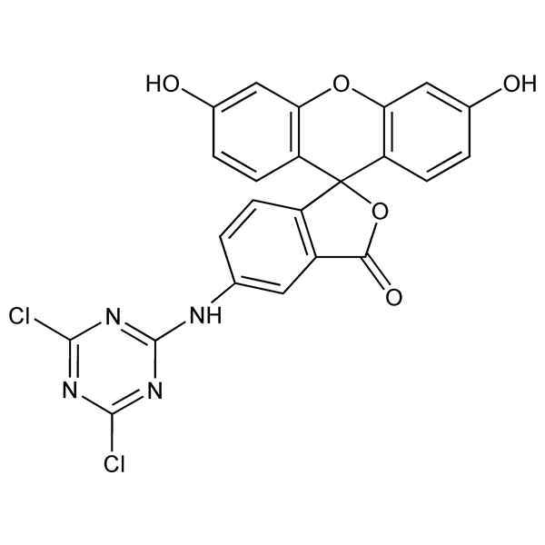 dtaf-monograph-image