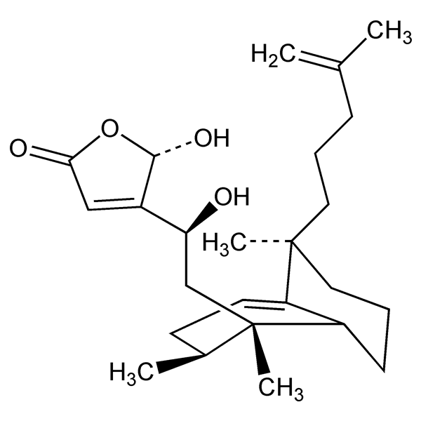 dysidiolide-monograph-image