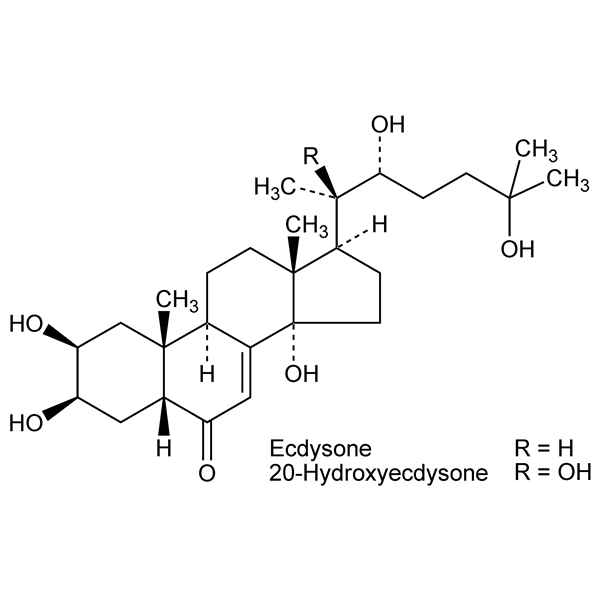 ecdysteroids-monograph-image