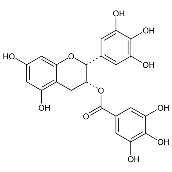 Graphical representation of EGCG