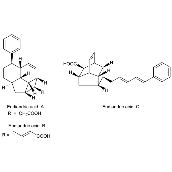 Graphical representation of Endiandric Acids