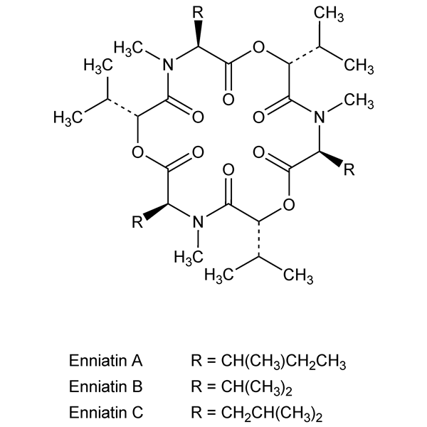 enniatins-monograph-image