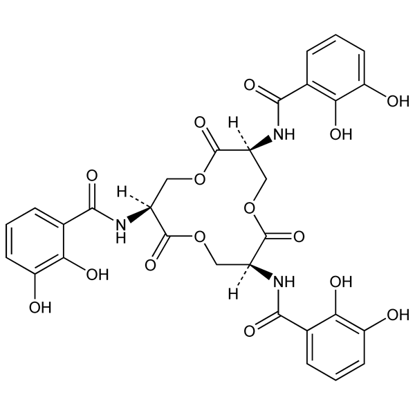 enterobactin-monograph-image