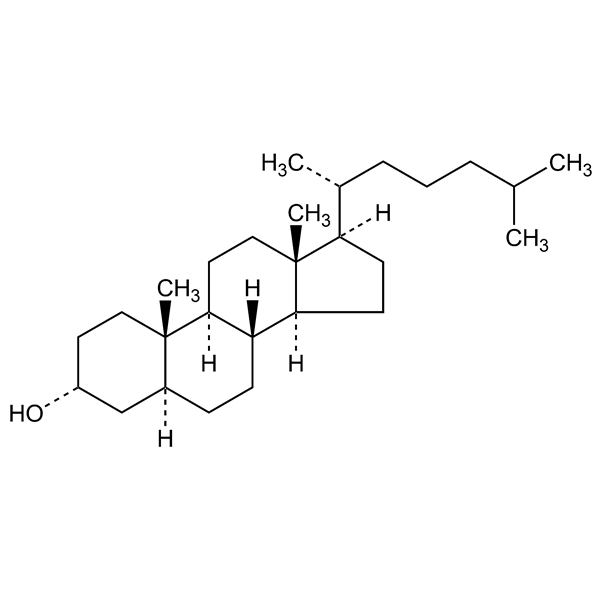 epicholestanol-monograph-image