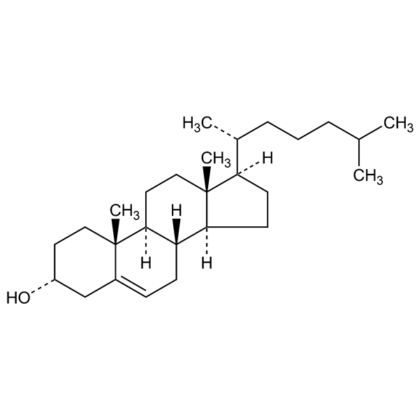 Graphical representation of Epicholesterol