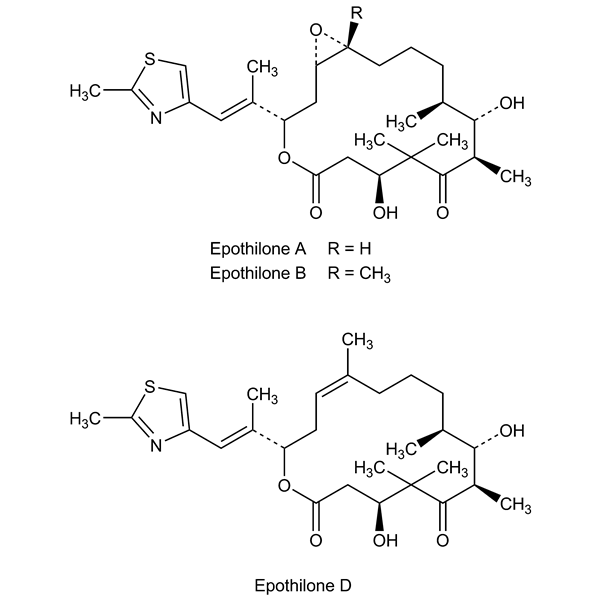 epothilones-monograph-image