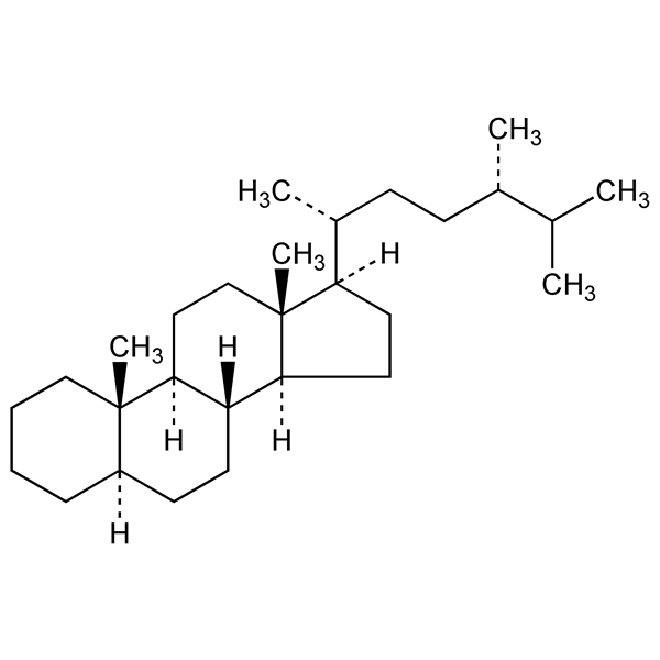 ergostane-monograph-image