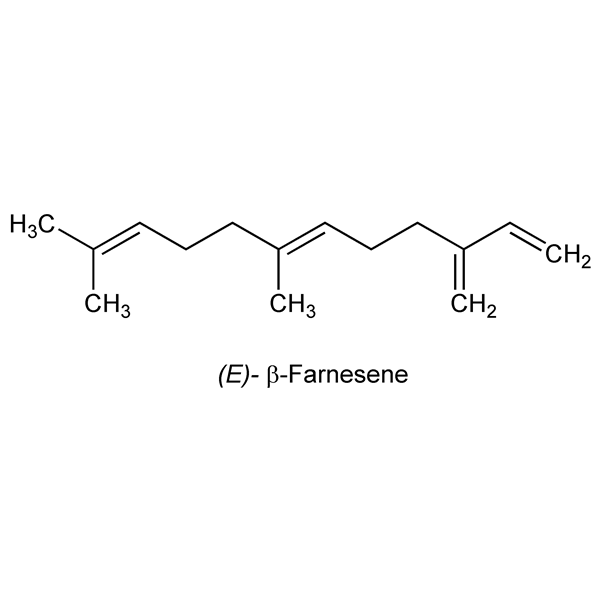 Graphical representation of β-Farnesene