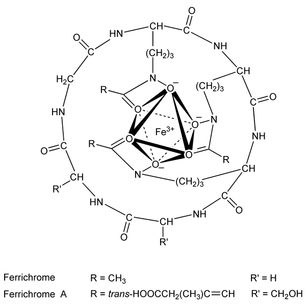 ferrichromes-monograph-image