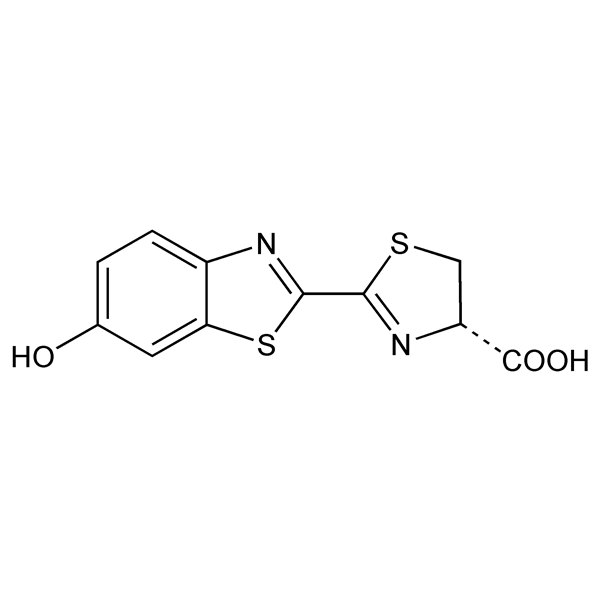 fireflyluciferin-monograph-image