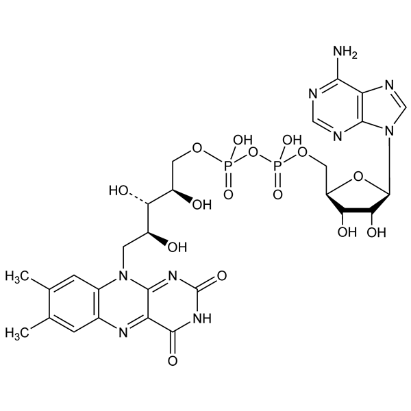 Graphical representation of Flavin-Adenine Dinucleotide