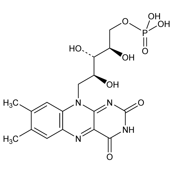 flavinmononucleotide-monograph-image