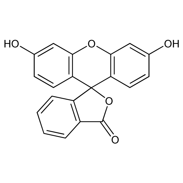 fluorescein-monograph-image