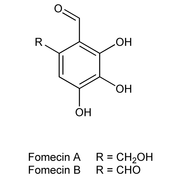 fomecins-monograph-image