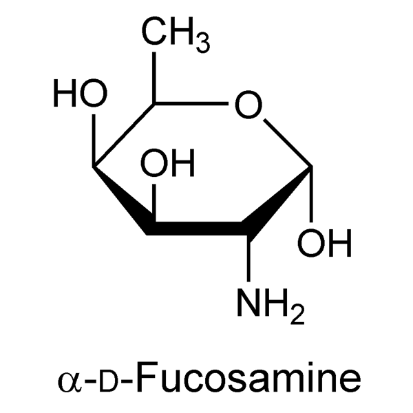 fucosamine-monograph-image