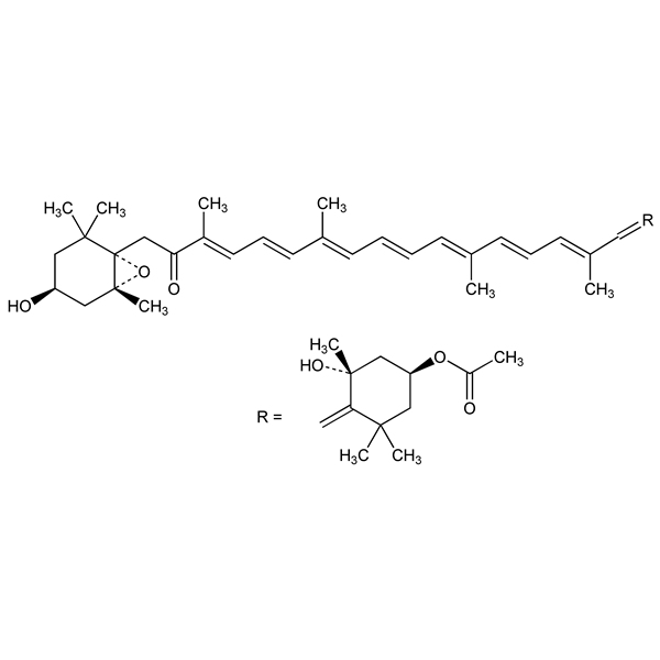 fucoxanthin-monograph-image