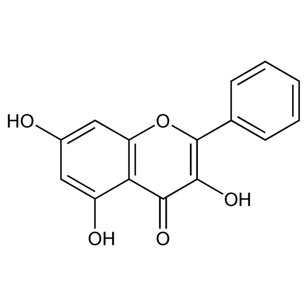 Graphical representation of Galangin