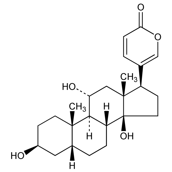 Graphical representation of Gamabufotalin