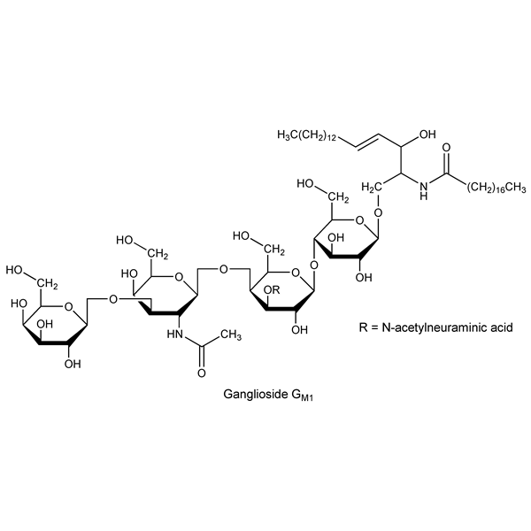 Graphical representation of Gangliosides