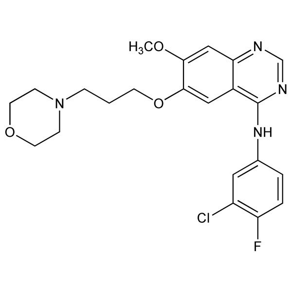 Graphical representation of Gefitinib