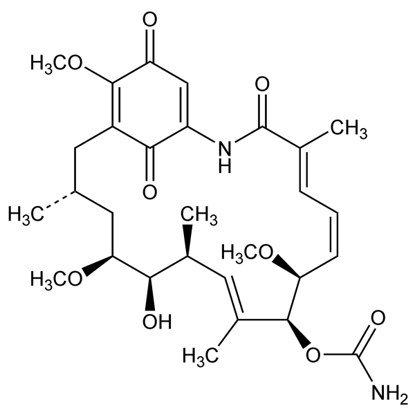 Graphical representation of Geldanamycin