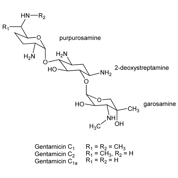 Graphical representation of Gentamicin