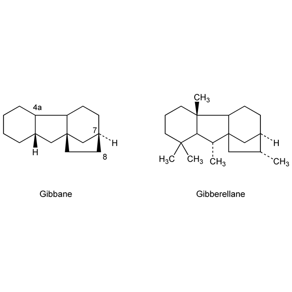 Graphical representation of Gibberellins