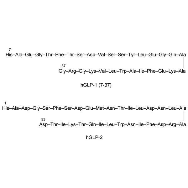 Graphical representation of Glucagon-Like Peptides