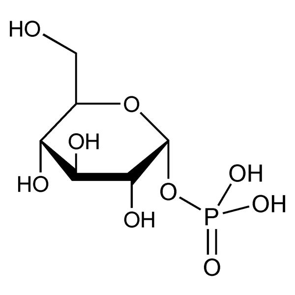 Graphical representation of α-Glucose-1-phosphate