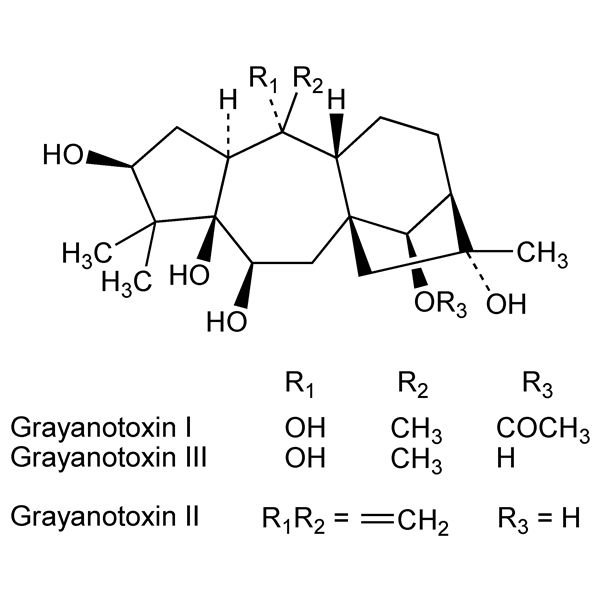 Graphical representation of Grayanotoxins