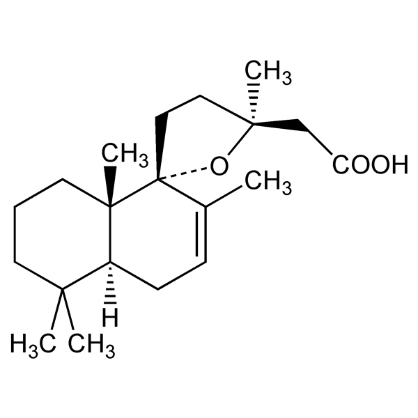 Graphical representation of Grindelic Acid