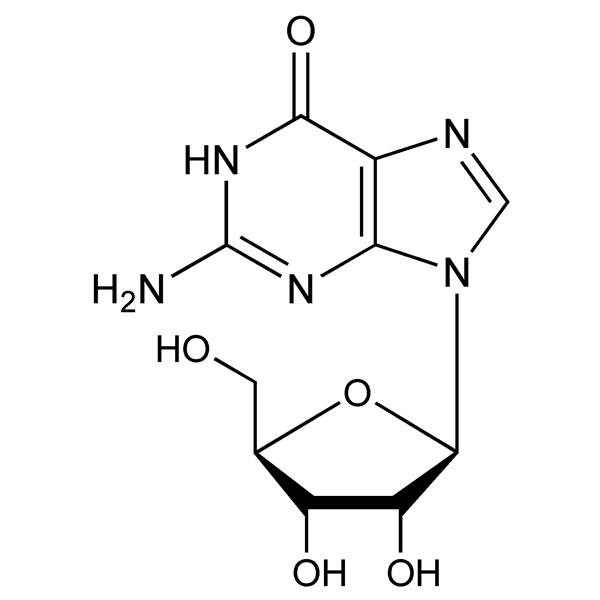 Graphical representation of Guanosine