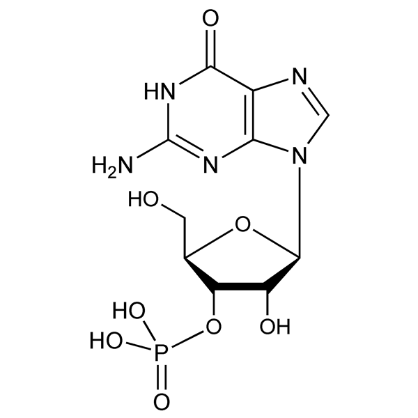 Graphical representation of 3′-Guanylic Acid