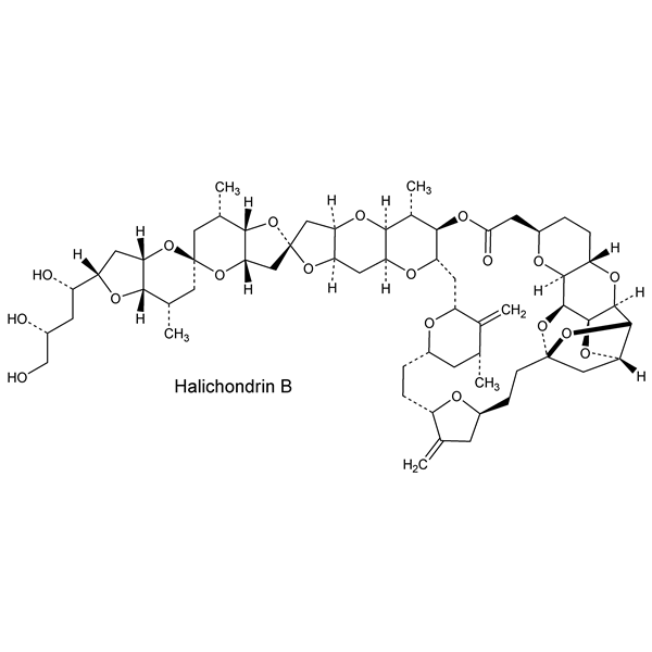 Graphical representation of Halichondrins