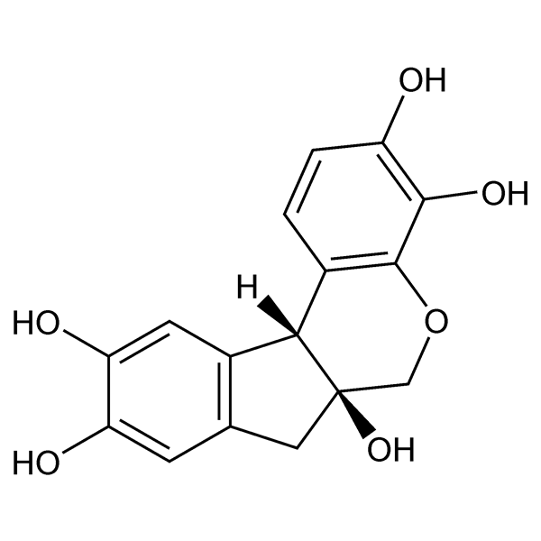 hematoxylin-monograph-image