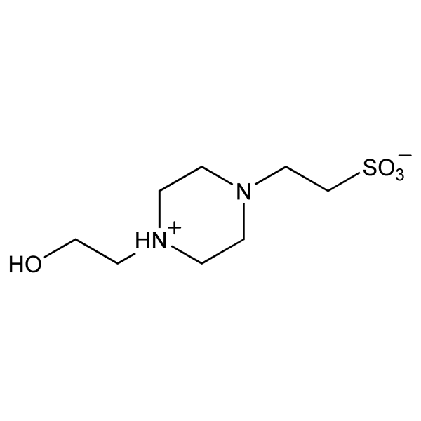 Graphical representation of HEPES