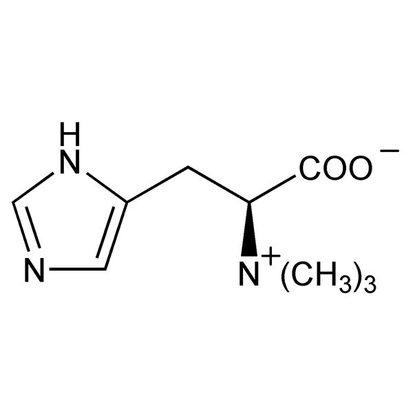 Graphical representation of Hercynine