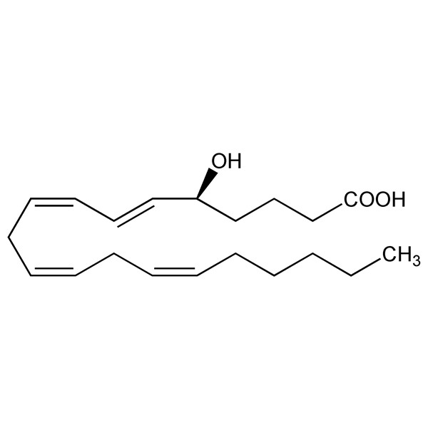 Graphical representation of 5-HETE