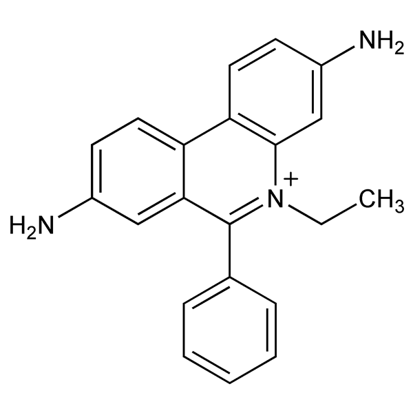 Graphical representation of Ethidium